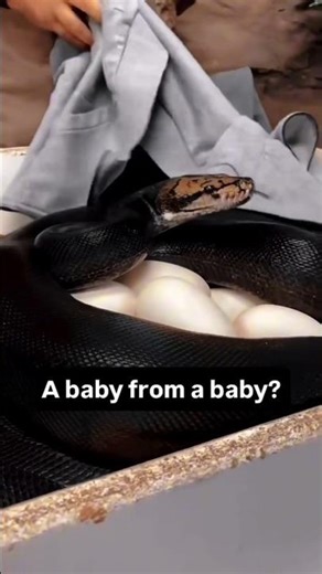 3 Windows Tricks That Feel Illegal… But Actually Work ⚡ | Computer Tips & Tricks