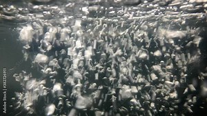 bubbles in aquarium from the filter