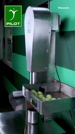 Amla Deseeder | Removing Seeds from Amla