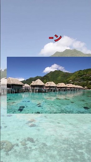 【タヒチ】1分で巡るモーレア島の魅力 |モーレア島観光ガイド#モーレア島観光#旅行#海外#オセアニア