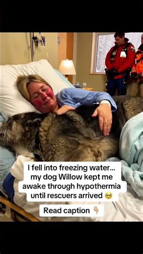 Love my dogo ❤️‍🔥