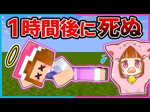 What happens when you try to complete an escape game where you die if you don't get out in an hou...