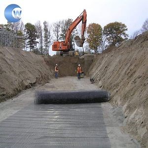 [Hot Item] Plastic Culture Net/Plastic Temporary Fencing