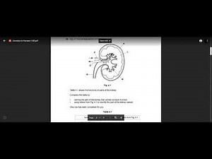 BIOLOGY IGCSE 0610 TOPICAL PAST PAPER structured DISCUSSION EXCRETORY SYSTEM - 02