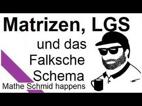 LGS, Falksches Schema + Funktionen, die Vektoren auf Vektoren abbilden | Mathematik vom Mathe Schmid
