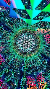 21K views · 235 reactions | This is absolutely a portal!! This...