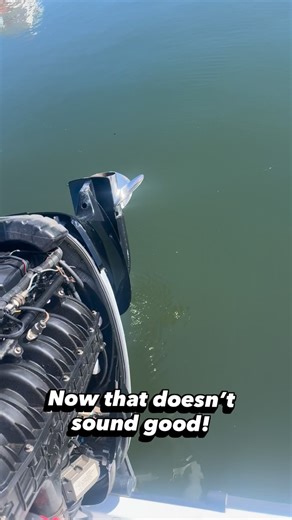 🛥️ Is your outboard making unusual sounds? It might be time to take a look at the VST Tank! We recently serviced a Mercury 225 Outboard with this exact issue. If your boat needs servicing, don’t hesitate to reach out. Follow us for more tips and updates! #boatservices #lifeonthewater #outboardrepair | Long Beach Boatworks