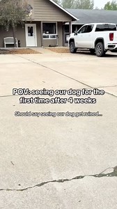 How do you create fear aggression and reactivity and anxiety? Punish a friendly anxious dog for saying hi a bunch of times. Never reward them for being good. #dogbehavior #dogtrainingtips #reactivedog | Thinking Canine