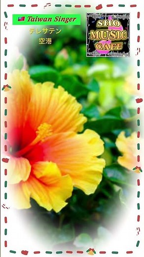 🇹🇼Taiwan Singer♪Teresa Teng/Airport #shorts #japanesesong #music #japan #enka