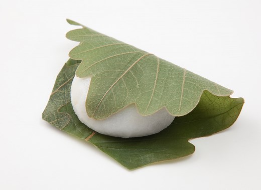 柏餅の葉っぱは食べられる？種類や巻く意味を解説 | デリッシュキッチン