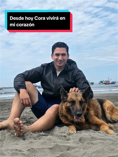 Adiós a Cora: Un homenaje a mi compañera perruna
