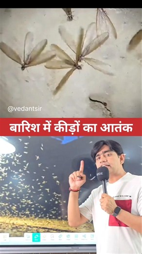बारिश में कीड़े नहीं आयेंगे😱😱 #facts #knowledge #information #gk #monsoon #monsoon2026