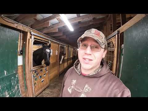 Meeting ALL Our HORSES & Some HISTORY On Our HORSE STABLE