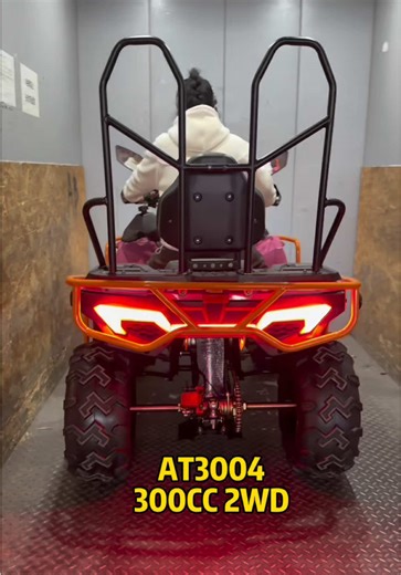 Explore the 300cc Quad Bike: Power and Performance