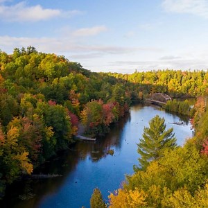 4.7K reactions · 524 shares | For those who love Michigan, a weekly newsletter of positive stories about our state's most beautiful and delicious. | MLive.com | Facebook