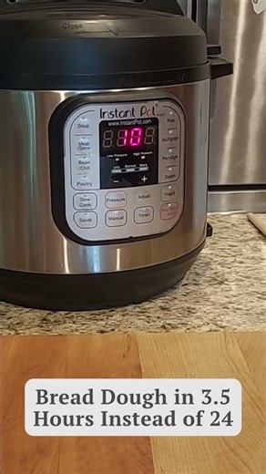 The Instant Pot Hack That Cuts Bread Rise Time From 24 Hours to 3.5 #shorts