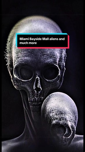 Today we’re looking at the Miami Bayside mall alien UFO case. We’re also looking at an open portal and much much more. I am showing you the structure and the projections of these avatars. #Miami mall.#Bayside Mall aliens#Bayside mall#aliens#hologram We are looking at alien life , holographic projections , UFO structures and the projections themselves we will then share you each projection up close my wife and I have been documenting UFOs in St. Lucie County Florida for over two years now we have