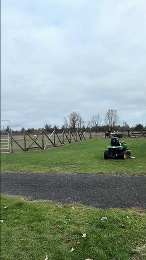 No more rhymes now! I mean it!