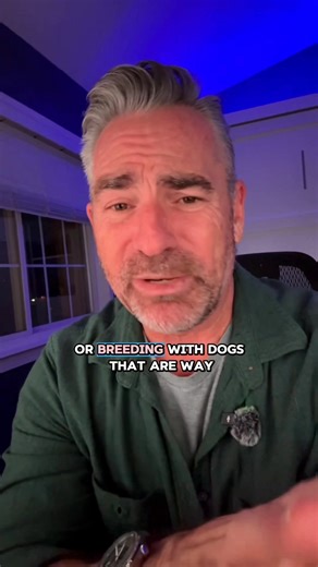 66K views · 2.2K reactions | Backyard breeders are all about money and they don’t care about the well-being of the dog. Education on spotting them is our first step on eliminating them. Only get dogs from ethical breeders or shelters or rescues that is it. Stay tuned for part two or talk about ethical breeders. #bruceofrubydoobydo #brucethedoberman #doberman #dobermann #rubydooby_do | Rubydoobydo | Facebook