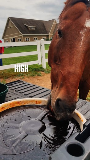 Purina® blocks and tubs offer solid nutrition, save time and keep your animals on track no matter the species. #mylocalpurinadealer #feedgreatness | Pranger's Feed Mill Inc.