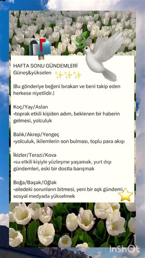 Hafta Sonu.!#keşfet #tarot #burçyorumları #tarotreading #azerbaycan #burçlar #kesvet