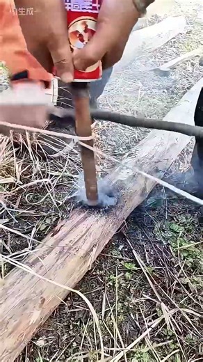 Mastering Primitive Fire: The Physics of the Bow Drill