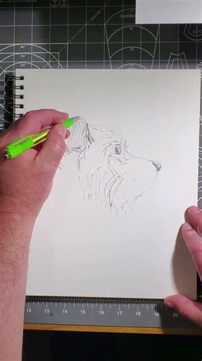 Dog Sketch: Ear and Collars Revealed!