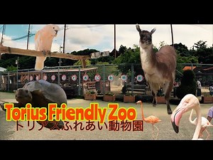 Torius Friendly Petting Zoo トリアスふれあい動物園 Hisayama FUKUOKA Japan 久山町 福岡