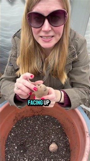 How To Plant Potatoes In Containers (Step By Step Beginner Guide)