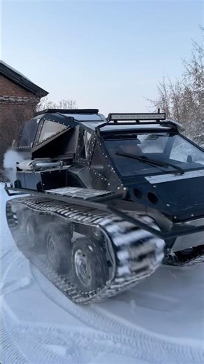 Tracked all-terrain vehicle LAIKA "Terek" #swamp vehicle #snowmobile #automobile #all-terrain veh...
