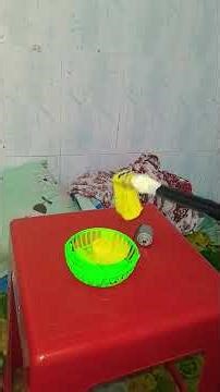 Duracraft Humidifier Fan Destruction's