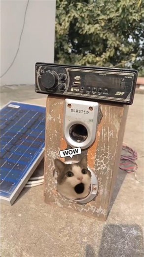 Solar Panel To Amplifier 🔊#shorts #experiment