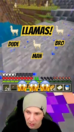 SPITTERS #minecraft #noob #fun #new #gaming #survival #letsplay #funny #llama #dude #man #bro #noway