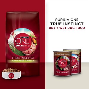 Learn more about Purina ONE True Instinct dry & wet nutrient-dense dog foods http://puri.na/2dcBh6f | Purina ONE