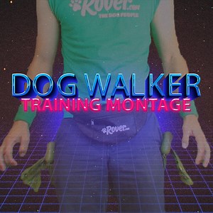 Recently uncovered footage from the Rover vault shows what it really takes to be a dog walker. | Rover.com