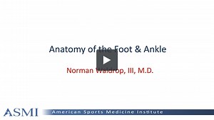 Anatomy of the Foot & Ankle