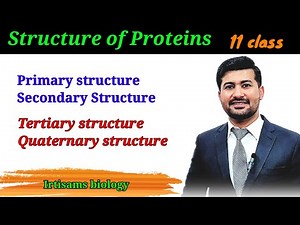 Structure of proteins | biomolecules class 11 biology | by irtisamsbiology