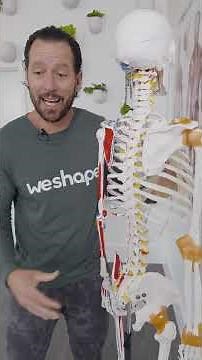 Over 60 Exercises For More Strength & Confidence