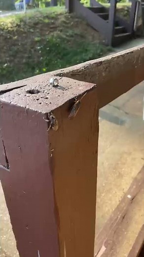 FISH LOVE THIS SECRET BAIT!!! #shorts