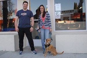 How Agile is Your Dog? Find Out at the ‘Zoom Room’ [Video]