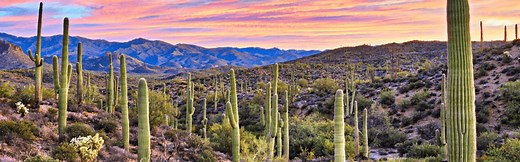 How to Register for a Sales Tax Permit in Arizona | TaxValet