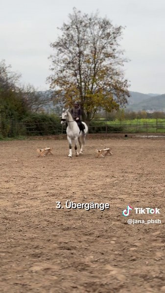 7 Wege für die Cavalettiarbeit
