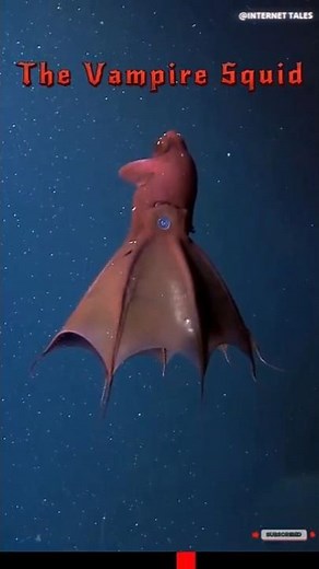 You Won't Believe These Real-Life Alien Creatures Actually Exist on Earth! #shorts