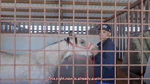 Sometimes things get a little wild at the ranch. Especially when it comes time to halter break some colts! In my latest YouTube video, I walk you through my approach to working with these young horses. ⬇️ https://youtu.be/jfJAabcFX2g | Matt Mills Reining