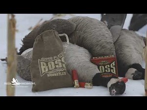 Delta Tested | BOSS ShotShells, 12 ga. 3/5 for waterfowl