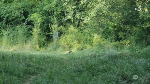 Villégiatures (2018, FR) VOF