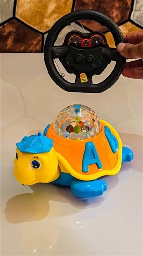 Remote Control RC Turtle Toy Review & Test 😱🔥