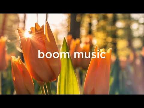 No Copyright Piano music / Free To Use Music