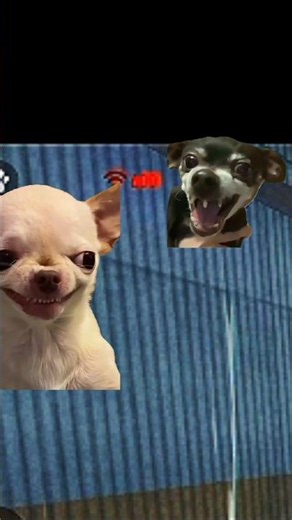 FreeFire net+999 😂🤣😂#trending #shorts