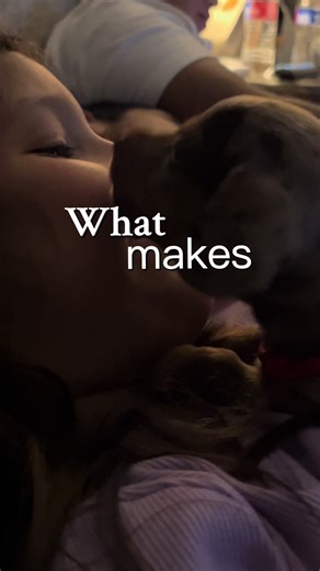 The Moments That We’ll Cherish Forever Before We Have To Say Our Goodbye 🥹 #dachshund #Doxie #christmas #mini_doxie_farm #texas